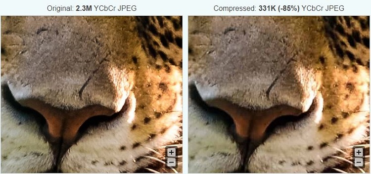 Optimized vs Unoptimized Images