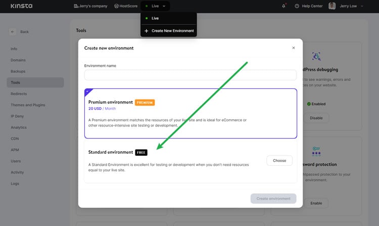Kinsta Staging Environment