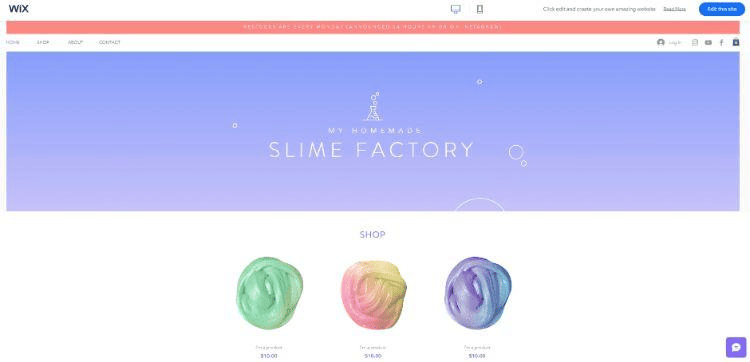 Wix template for an online store.